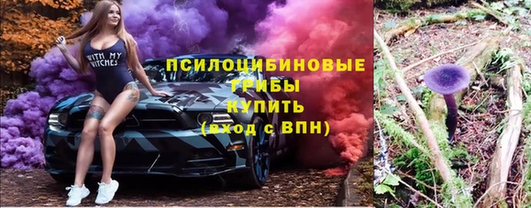 прущий лед Арсеньев
