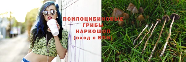 прущий лед Арсеньев