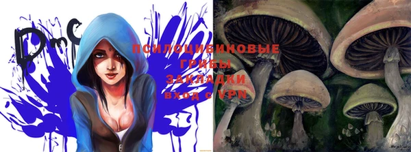 ГАЛЛЮЦИНОГЕННЫЕ ГРИБЫ Балабаново