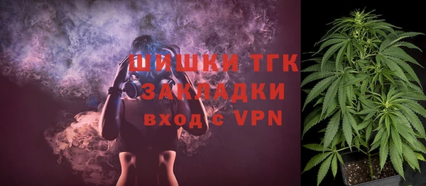 ГАЛЛЮЦИНОГЕННЫЕ ГРИБЫ Балабаново