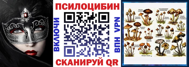 купить закладку  Ульяновск  Галлюциногенные грибы Psilocybe 